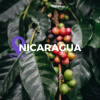 Nicaragua Single Origin Coffee