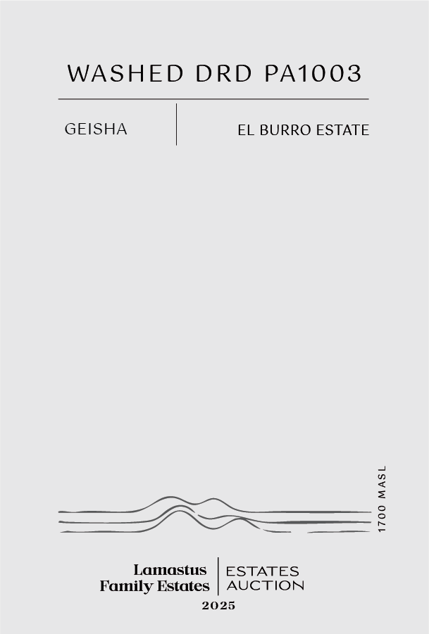 Labeling Guide Axis Of Elevation 01